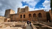 PICTURES/Granada - Alhambra - Alcazaba Fortress/t_20231102_123400.jpg